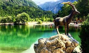 We have travelled to kranjska gora on many occasions over the years for a combination of business and a short family break. Kranjska Gora 2021 Best Of Kranjska Gora Slovenia Tourism Tripadvisor