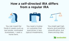 A roth is also a better choice than a traditional ira if you might need. Self Directed Ira Sdira What You Need To Know Nerdwallet