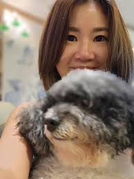 Kwai Chung Best Pet Boarding, Grooming for Dogs, Cats with Pickup