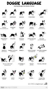16 Best Sign Language For Dogs Images Dogs Sign Language