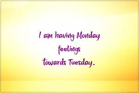 A day to remember quotes about tuesday andy holding tuesday tips back to work tuesday beautiful quotes on morning beautiful tuesday morning images beautiful tuesday quotes best day ever quotes images best meaningful quotes images best tue best tuesday morning quotes blessed tuesday images and quotes but for me it was just a tuesday. 117 Funny Tuesday Memes Best Sarcastic Tuesday Quotes Images Dreams Quote
