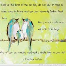 Birds Of The Air Look At The Birds Of The Air They Neither Sow Nor Reap Nor Gather Into Barns And Yet Your Heavenly Father Keeps Feeding Matthew 6 Matthew 6 26 Scripture Art