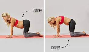 Learn the cat and cow stretch for prenatal yoga from fitness expert cait morth in this howcast workout video. 6 Yoga Poses To Practice During Pregnancy L Yoga For Pregnancy