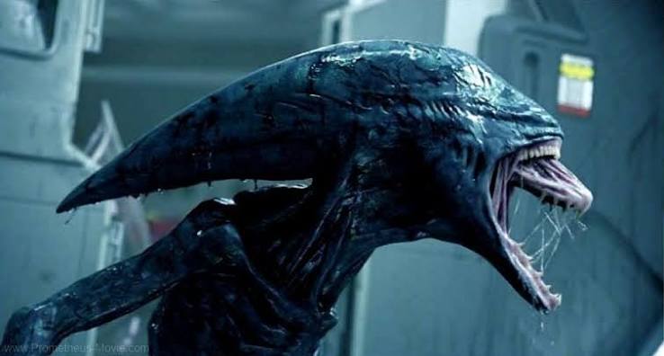 Every Xenomorph (and Alien) from the Alien Movies