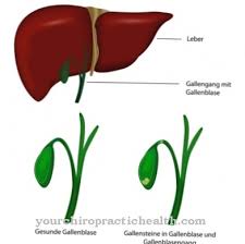 Maybe you would like to learn more about one of these? Pundi Hempedu Struktur Fungsi Penyakit Anatomi