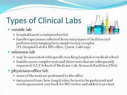 Chapter 44 The Clinical Laboratory Ppt Video Online Download