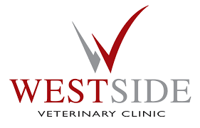 Maybe you would like to learn more about one of these? Westside Veterinary Clinic 2 Burland Road London Reviews And Appointments Topvet