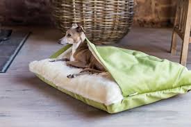 Aristocat dome bed scruffs £34.99. Snuggle Beds Charley Chau Luxury Dog Beds Blankets