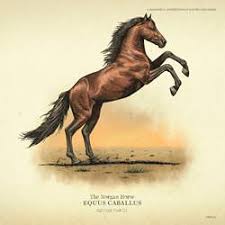 Kiger mustang horse info, origin, history, pictures. Buckskin American Standardbred Red Dead Redemption 2 Wiki