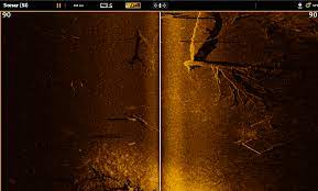 Maybe you would like to learn more about one of these? Side Imaging Humminbird