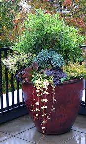 Our Container Gardening Services In Seattle Assure Aesthetics And Knowledge Come Together To Create Diy Container Gardening Garden Services Container Gardening