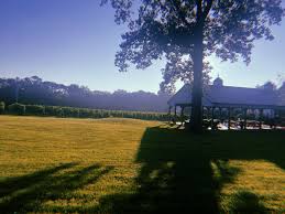 About — Barn at 678