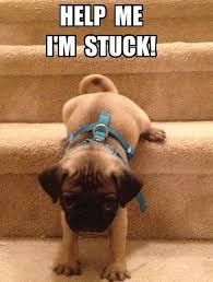 If You Find Yourself Stuck In A Difficult Situation Try Asking Others For Help Make A Plan Which Includes Small Changes Then Pugs Funny Cute Pugs Baby Pugs