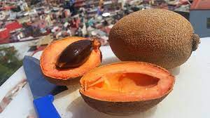 Download in under 30 seconds. Mamey Fruit How To Eat Mamey Sapote Myfoodchannel
