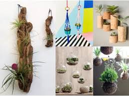 Y vuelvo con el asunto plantas al blog. 10 Ideas De Decoracion Con Plantas Colgantes Uma Decoracion