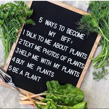 Succulentcity Com Community Of Succulent Cacti Plant Lovers Gardening Memes Plant Lover Plant Puns