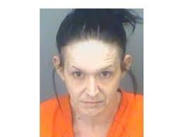 Clearwater Woman Accused Of Getting Teen High, Molesting Him
