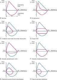 spirometry graph the basic forced volume vital capacity