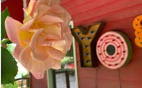 Aloyoga.com has been visited by 10k+ users in the past month Yoga Classes Trapeze Yoga Private Yoga By Let It Be Yoga In Watkinsville Ga Alignable