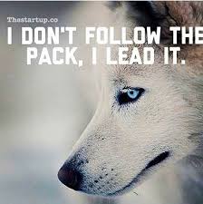 Pin By Angel Laurence On Wolf Quotes Wolf Quotes Warrior Quotes Lone Wolf Quotes