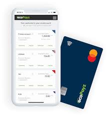 Although you won't earn any interest on your savings, this account is not designed for that purpose. Secure Online Payments International Money Transfers Ecopayz