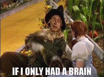 YARN | If I only had a brain | The Wizard of Oz | Video gifs by quotes | 4f888057 | 紗