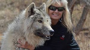 Why This Woman Hates To Hear About Big Bad Wolf Bbc News Wolves big sean, post malone.