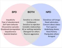 Image result for Cluster B Personality Disorder