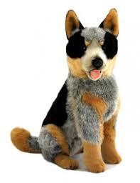 $ 49.99 quick view quick view australian cattle dog love women's sweatshirt. Large Cattle Dog Blue Heeler Soft Plush Toy 45cm Dog Breed Stuffed Toys Australian Native T Shirts