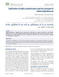 Image result for Euphorbia crebrifolia