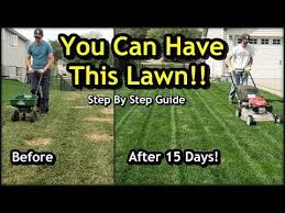Don't put too much compost, otherwise the existing blades will get buried and will die. Overseeding An Existing Lawn And Selecting The Best Grass Seed Lawncare