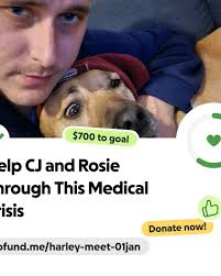 Well the wait is over baby Gammon is a GIRL!! We can't wait to meet our  Jemma Rose Gammon in September!