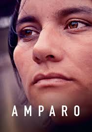 Amparo