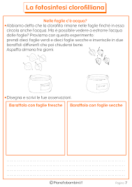 Schede didattiche sulla fotosintesi clorofilliana per bambini. Schede Didattiche Sulla Fotosintesi Clorofilliana Per Bambini Pianetabambini It