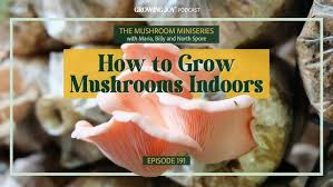 191 How to Grow Mushrooms Indoors
