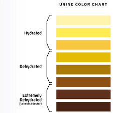 Sample Urine Color Chart Great Ph Acidalkaline Chart More