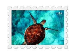 It is observed to spread awareness about the role of oceans on earth. Ocean Stamps From Around The World Scuba Diver Life