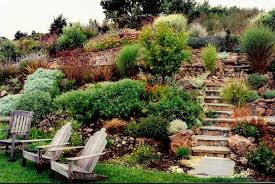 Landscaping A Slope Native Drought Tolerant Plants On Terraces Large Steps Up Ma Steep Hill Landscaping Backyard Hill Landscaping Sloped Backyard Landscaping