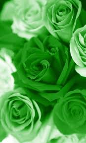 All Things Green Autres Fleurs Other Flowers Https Fr Pinterest Com Jeanfbjf Pin Index Fleurs Green Rose Green Aesthetic Green Flowers We hope you enjoy our growing collection of hd images to use as a background or. pinterest