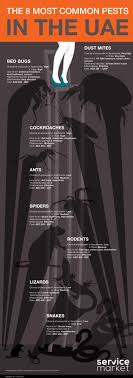 Though this option may be selected because of a small infestation, pest control companies will often charge you more than if. Infographic The 8 Most Common Pests Found In Dubai And How To Get Rid Of Them The Home Project Servicemarket