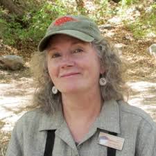 Saving a Hummingbird Haven with Sheri Williamson