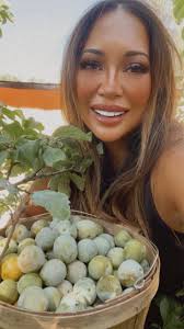 Green Gage Plum Jelly Restock in Sycamore Creek