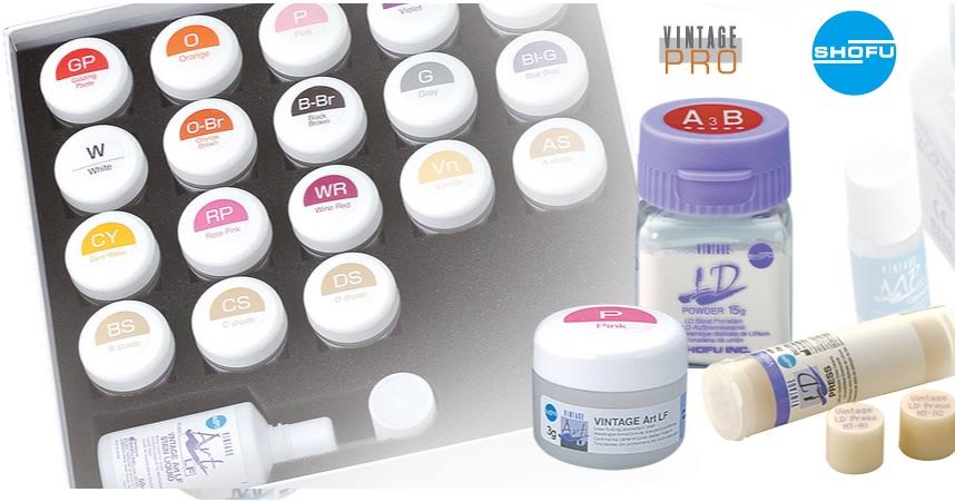 Shofu Stainign Kit product image