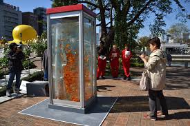 The quality is still pretty. Old Phone Booths Transformed Into Goldfish Tanks On The Streets Of Osaka