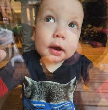 New WWE Legends are up for pre-order, which ones are you excited about?  Angle  https://www.target.com/p/wwe-elite-legends-6-39-39-kurt-angle-action-figure-38-accessories-series-26-collectible-set/-/A-92134035  Carltio https://www.target.com/p/wwe-elite ...