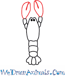 Then, on each side of the head, extend two long lines at a diagonal angle. How To Draw A Lobster