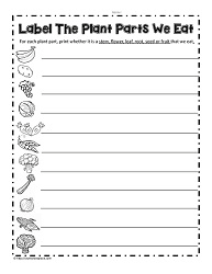 Life cycles of plants and animals. Parts Of A Plant Worksheets