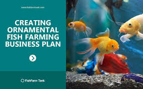 Creating Ornamental Fish Farming Business Plan Fishfarmtank Com Fish Farming Farming Business Business Planning