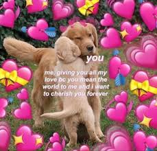 Pin By Army Pink On Lovely Cute Love Memes Happy Memes Love You More Meme