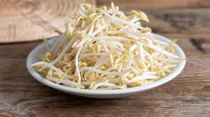 Namun, tahukan anda mengenai cara membuat dan menanam toge dari kacang. Tips Dan Cara Menumbuhkan Tauge Sendiri Di Rumah Lifestyle Fimela Com